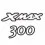 X-Max 300